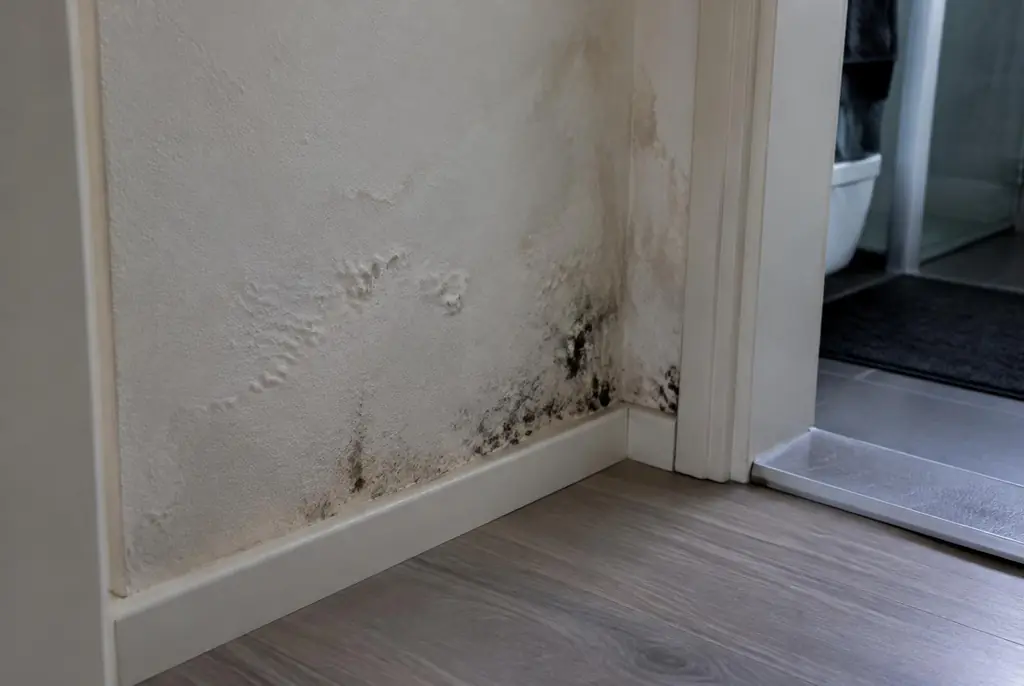 Lekdetectie Wijk bij Duurstede – vochtplek met schimmel op een muur